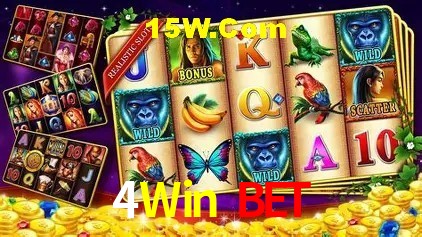 4Win Bet Salvador - Promo Stats